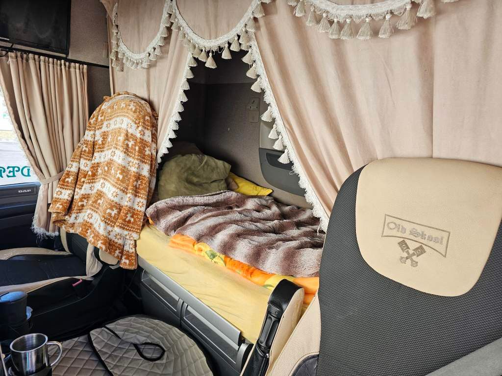 Fahrzeugabbildung DAF XF 410, Euro 6, Standklima