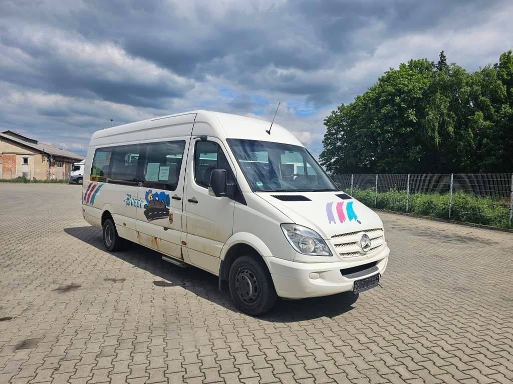 Fahrzeugabbildung Mercedes-Benz Transfer 45, Sprinter 516 CDI, hydr. Tür, 16+1