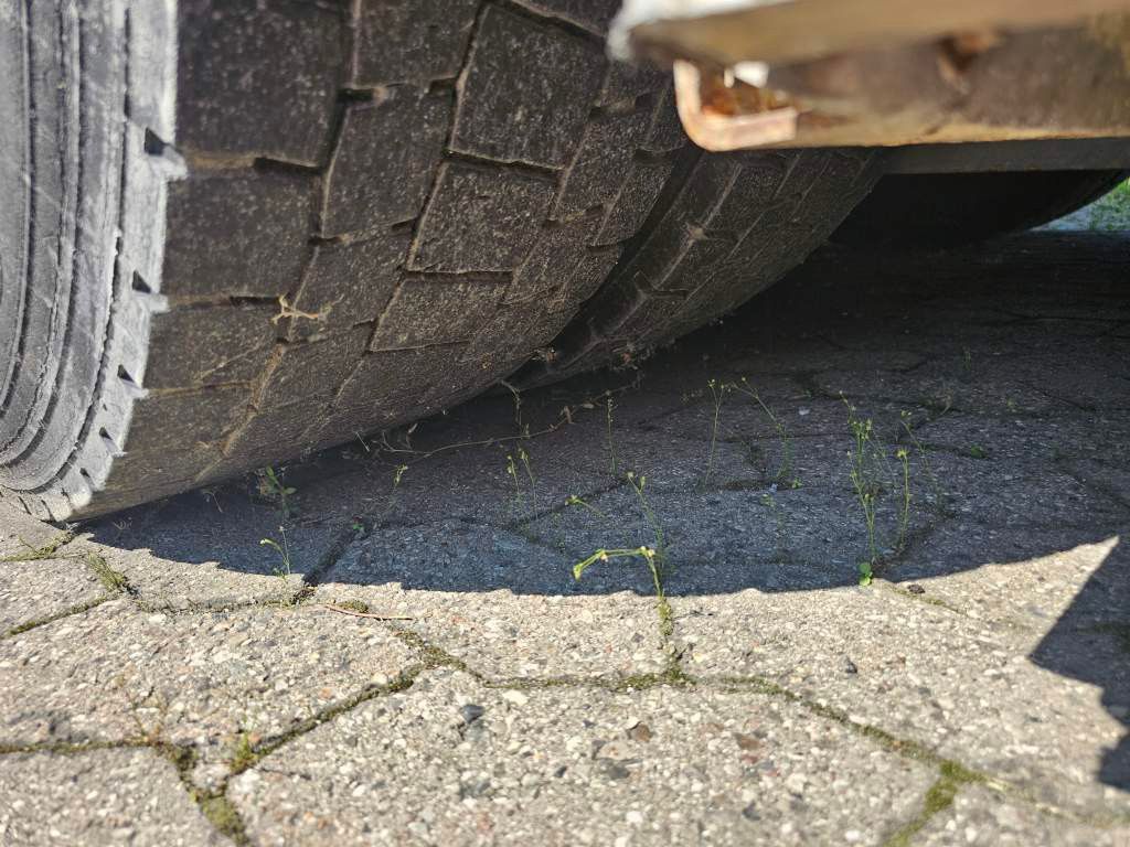 Fahrzeugabbildung Mercedes-Benz 2630, 2 Kammern, 21 cbm , Euro 6, Diesel