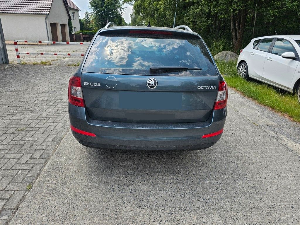 Fahrzeugabbildung SKODA Octavia Kombi 2,0 TDI, Mwst. ausweisbar