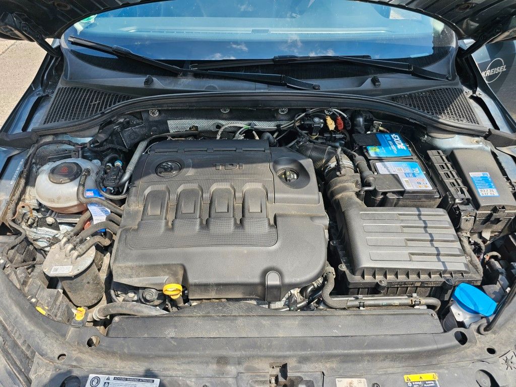 Fahrzeugabbildung SKODA Octavia 2.0 TDI, Mwst. ausweisbar