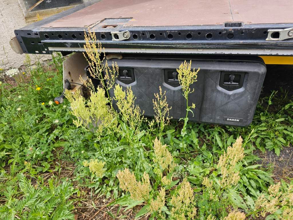 Fahrzeugabbildung Krone Plateau mit Containerverriegelung, Rungentaschen