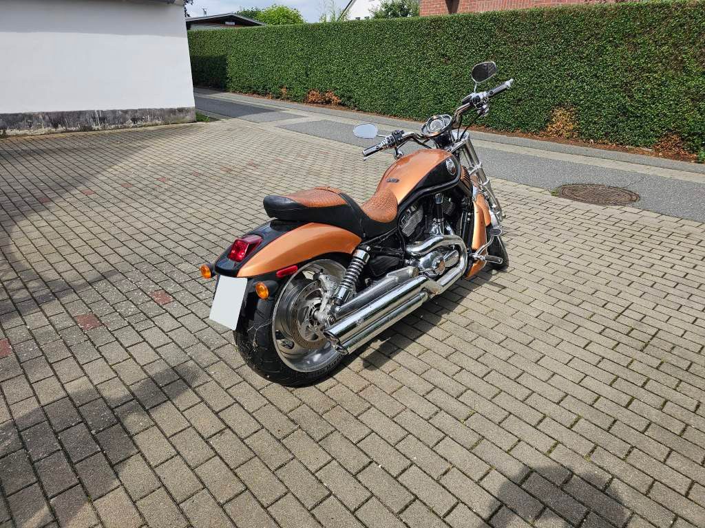 Fahrzeugabbildung Harley-Davidson VR 1 /VRSCA V-Road,VRSCB V-Road