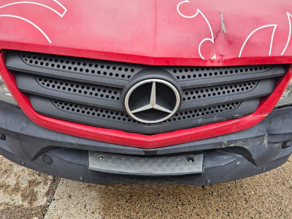 Fahrzeugabbildung Mercedes-Benz 316 lang&hoch, BDF, neuer Motor, kleiner Unfall