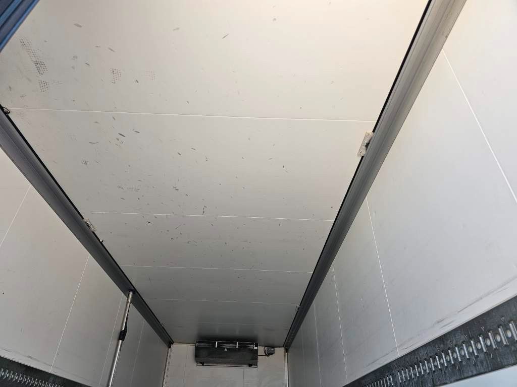 Fahrzeugabbildung DAF LF 220 Tiefkühler, LBW + Türen, Handschalter