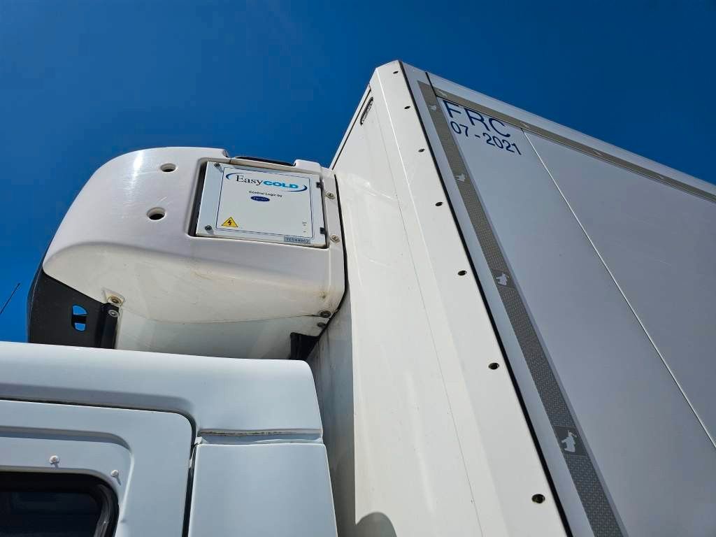Fahrzeugabbildung DAF LF 220 Tiefkühler, LBW + Türen, Handschalter