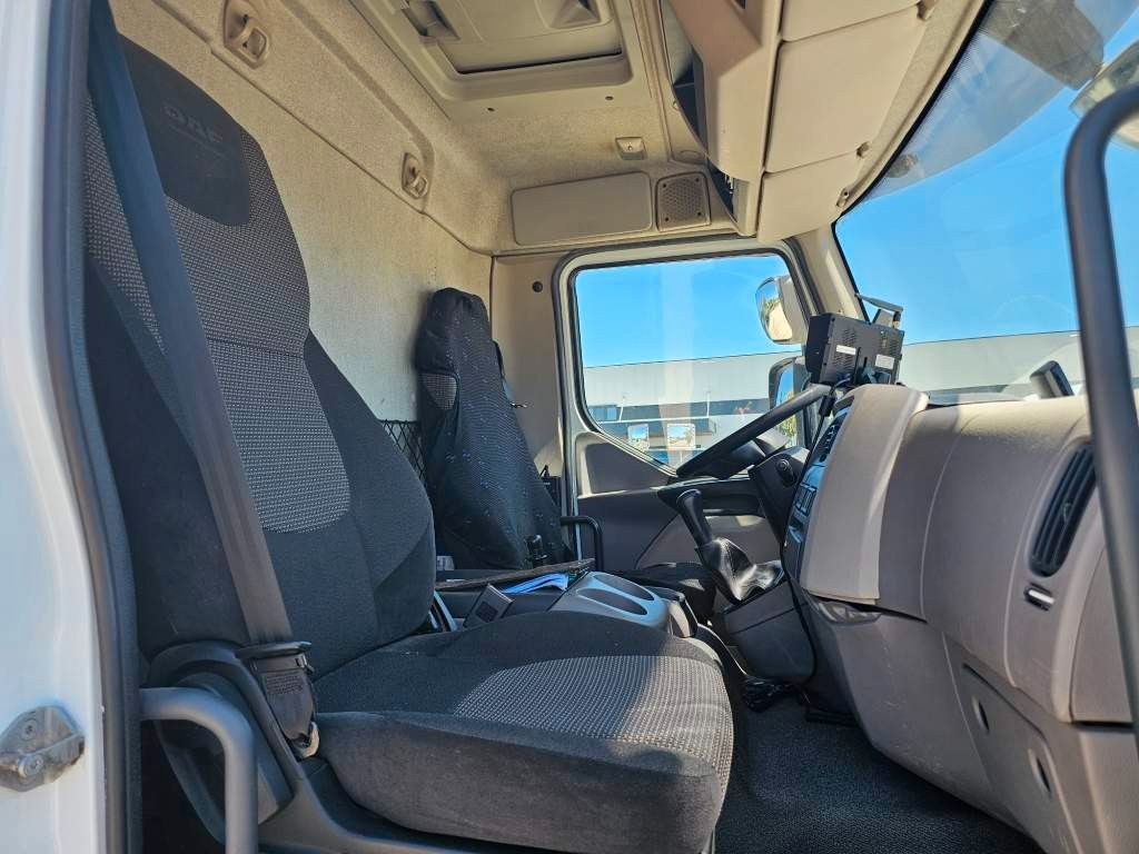 Fahrzeugabbildung DAF LF 220 Tiefkühler, LBW + Türen, Handschalter