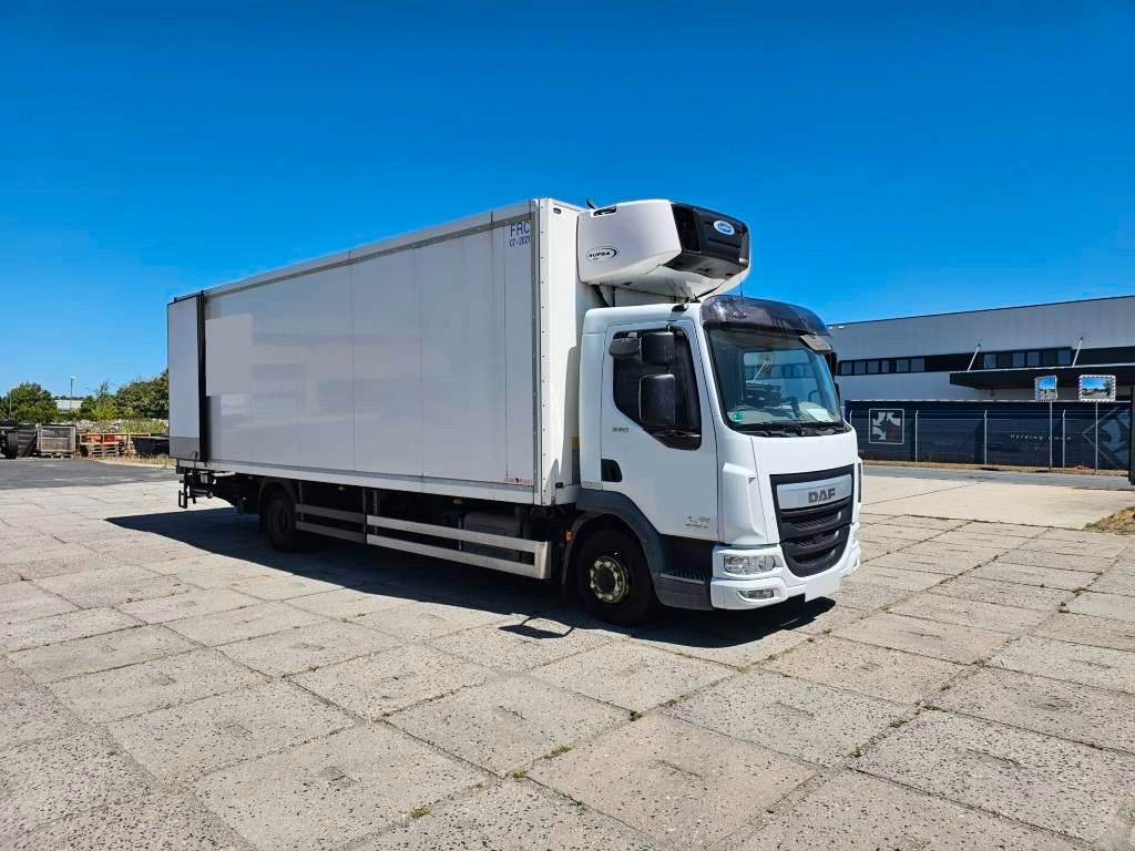 Fahrzeugabbildung DAF LF 220 Tiefkühler, LBW + Türen, Handschalter
