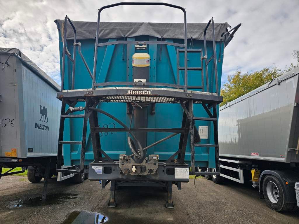 Fahrzeugabbildung Reisch 50 cbm, Pendelklappe, Lift, Lastmanometer, BPW