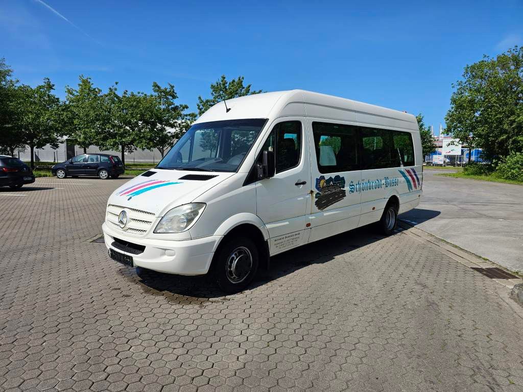Fahrzeugabbildung Mercedes-Benz Transfer 45, Sprinter 516 CDI, hydr. Tür, 16+1