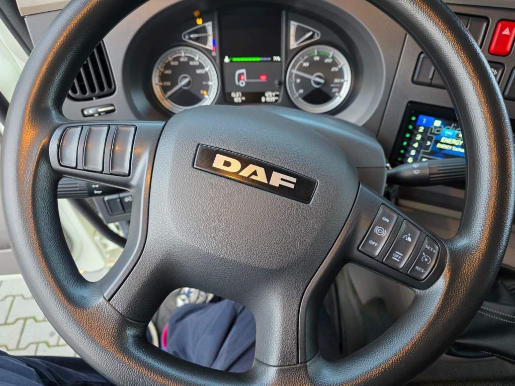 Fahrzeugabbildung DAF LF 170 Gardine, wie neu, nur 82 TKM Original !