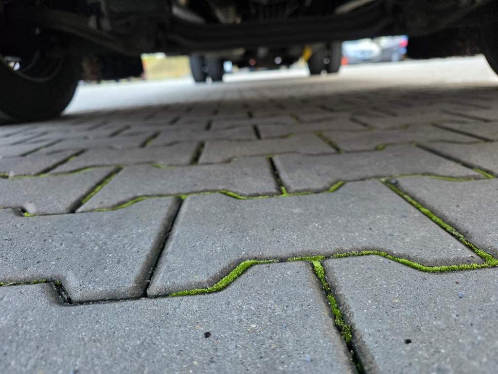 Fahrzeugabbildung DAF LF 170 Gardine, wie neu, nur 82 TKM Original !