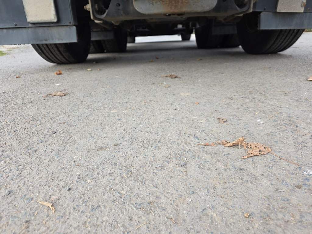 Fahrzeugabbildung Mercedes-Benz 2545 BDF, Multiwechsler,neue Injektoren+ Ölpumpe