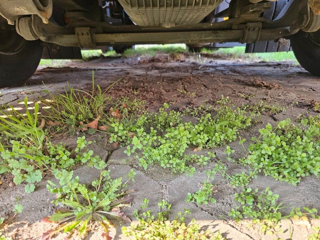 Fahrzeugabbildung Iveco 460 Hi Way, Standklima, Retarder, Euro 6