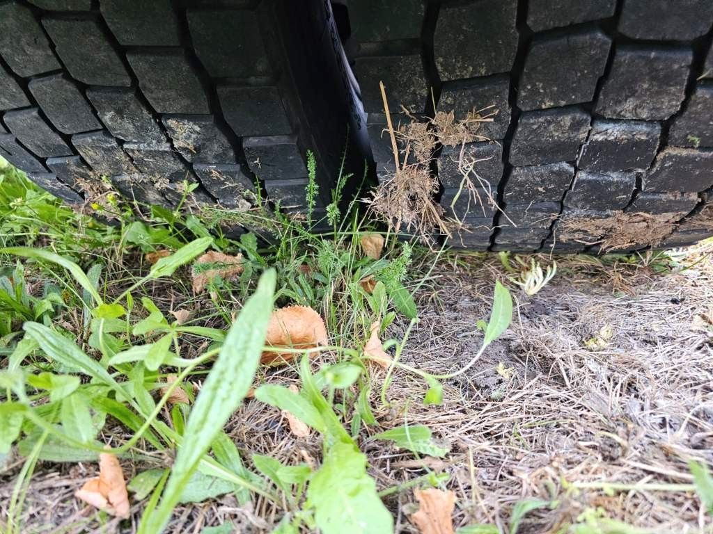 Fahrzeugabbildung Iveco 460 Hi Way, Standklima, Retarder, Euro 6