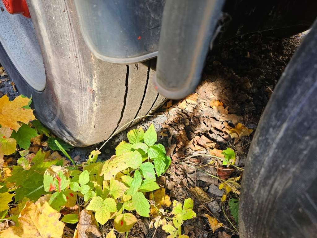 Fahrzeugabbildung Renders Bordwandsattel, Lift, 4 x Steckdose für Verbreit