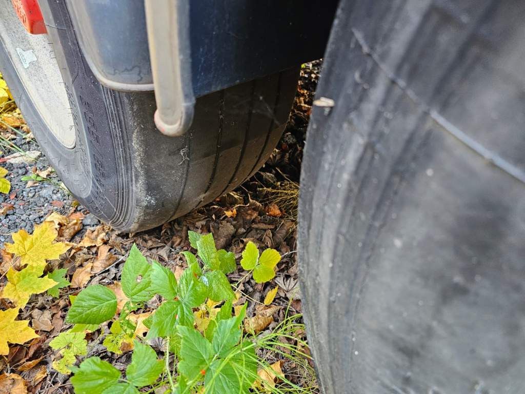 Fahrzeugabbildung Renders Bordwandsattel, Lift, 4 x Steckdose für Verbreit