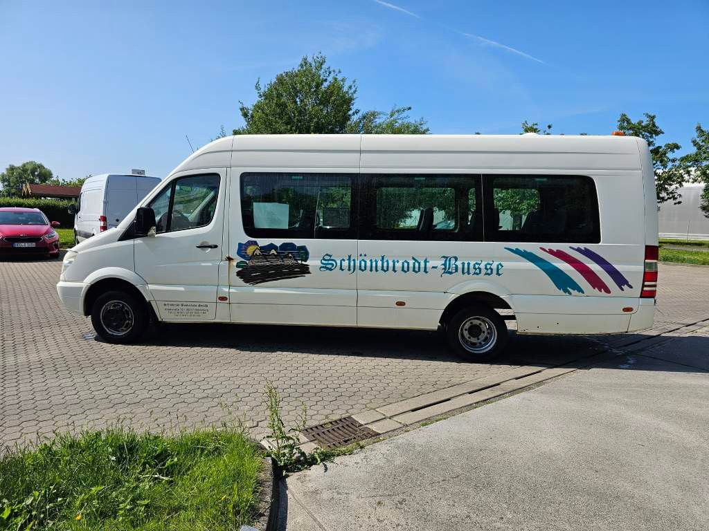 Fahrzeugabbildung Mercedes-Benz Transfer 45, Sprinter 516 CDI, hydr. Tür, 16+1