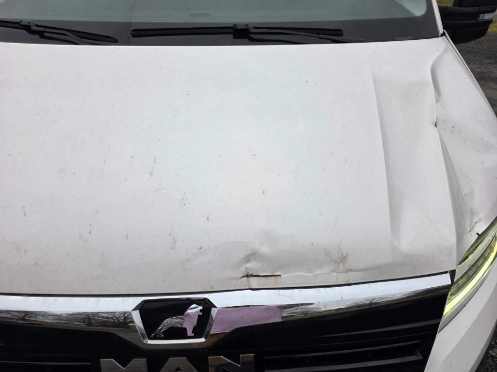 Fahrzeugabbildung MAN TGE 3.180 Koffer mit Ladebordwand, Klima, AHK