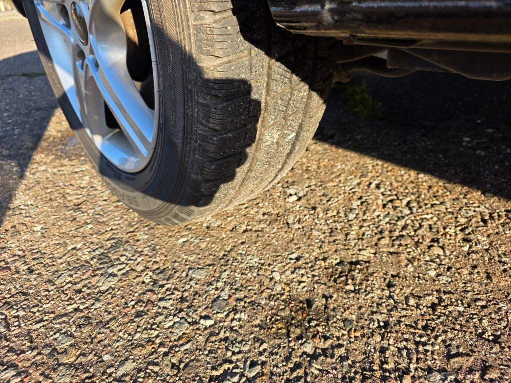 Fahrzeugabbildung Volkswagen T6 Caravelle