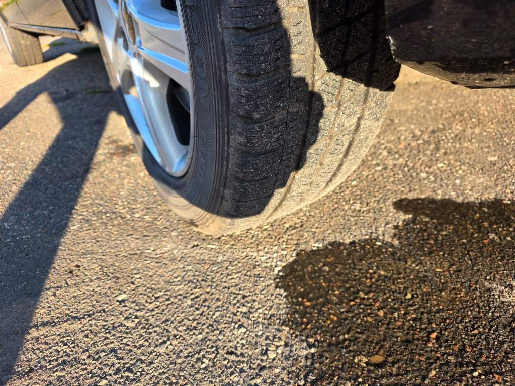 Fahrzeugabbildung Volkswagen T6 Caravelle