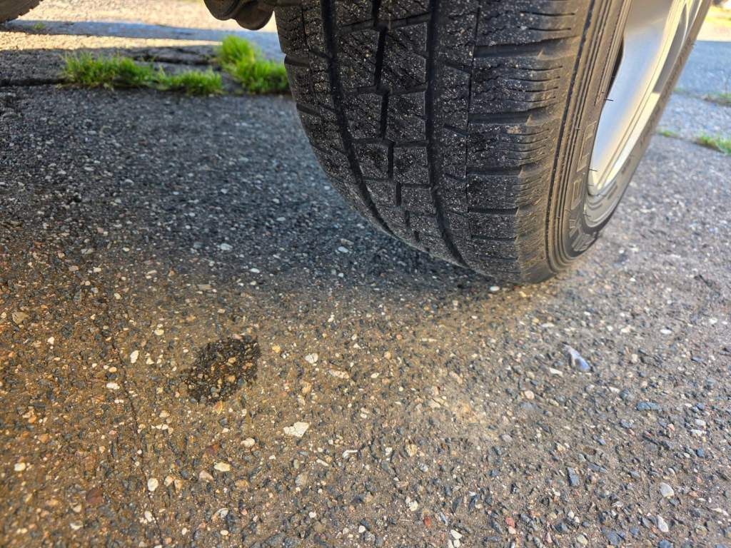 Fahrzeugabbildung Volkswagen T6 Caravelle