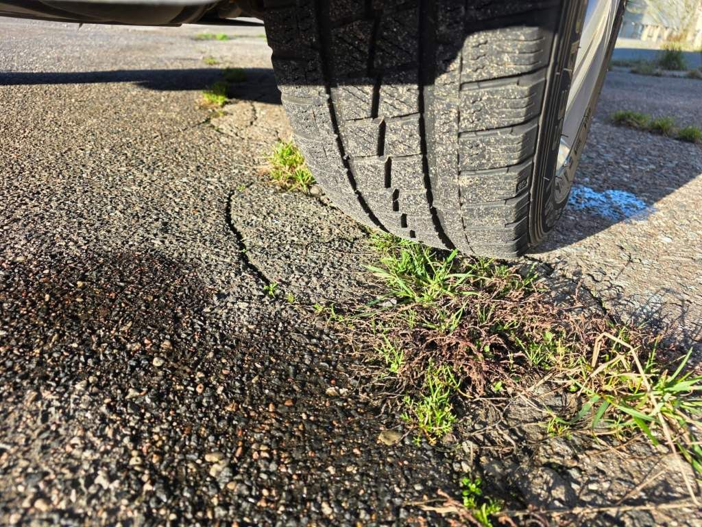 Fahrzeugabbildung Volkswagen T6 Caravelle