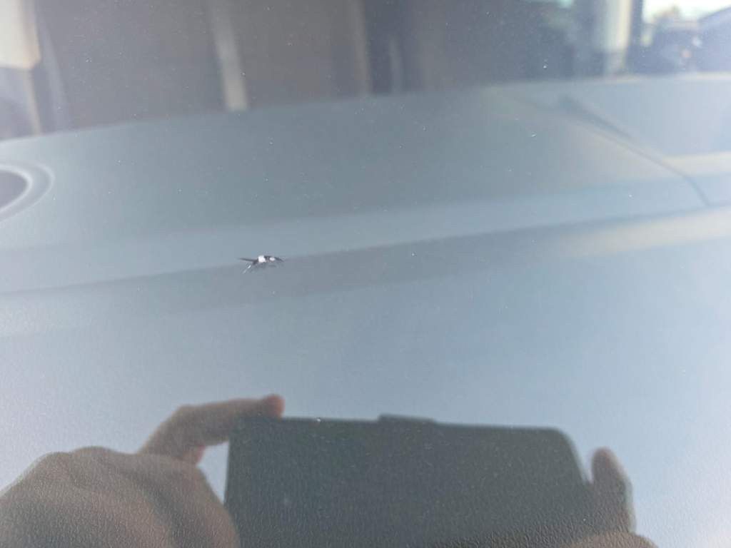 Fahrzeugabbildung Volkswagen T6 Caravelle