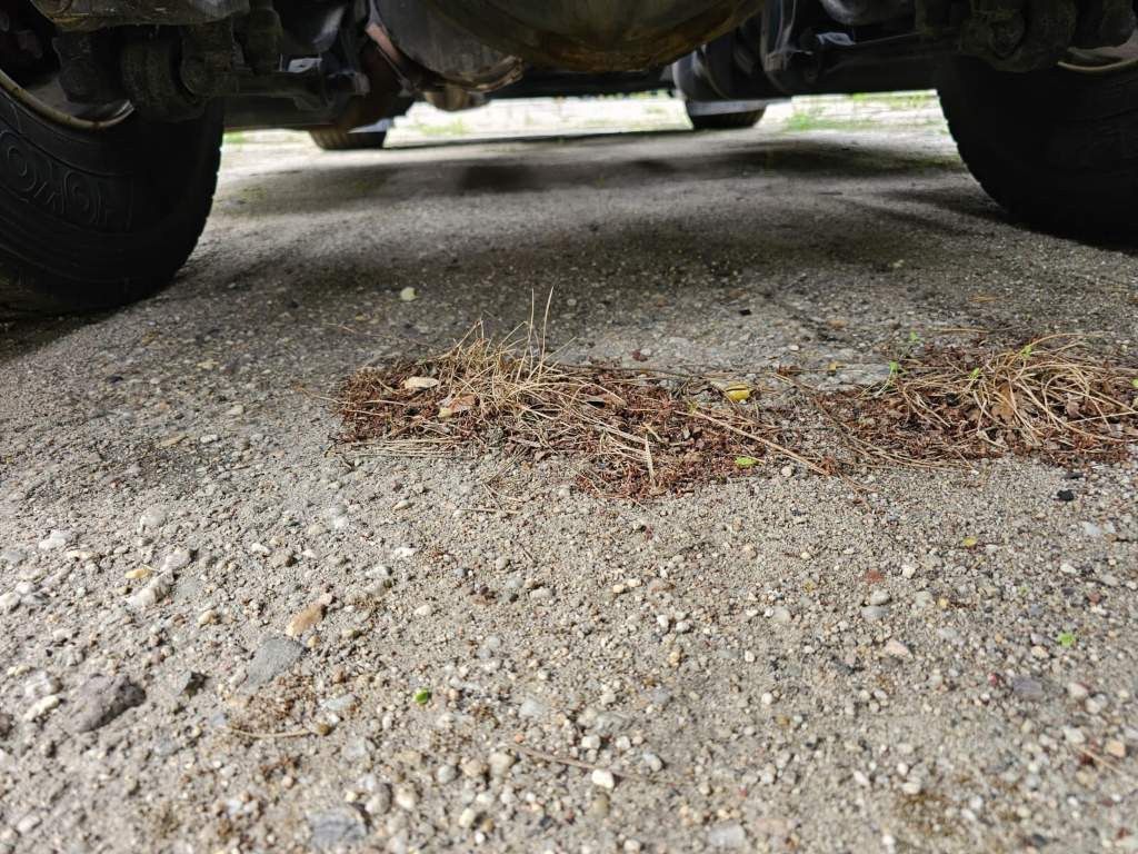 Fahrzeugabbildung Iveco 460, Hi-Line.Retrader,voll durchrepariert