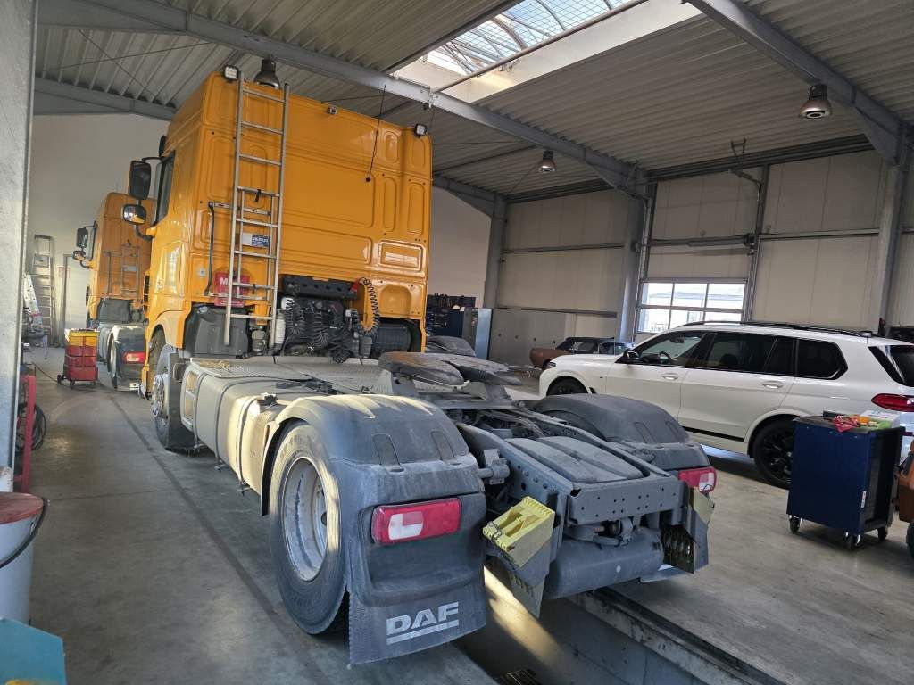 Fahrzeugabbildung DAF XF 480 SC, ZF Intarder, Kühlschrank