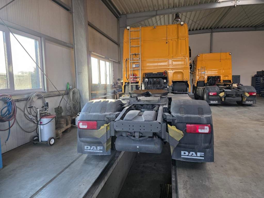 Fahrzeugabbildung DAF XF 480 SC, ZF Intarder, Kühlschrank