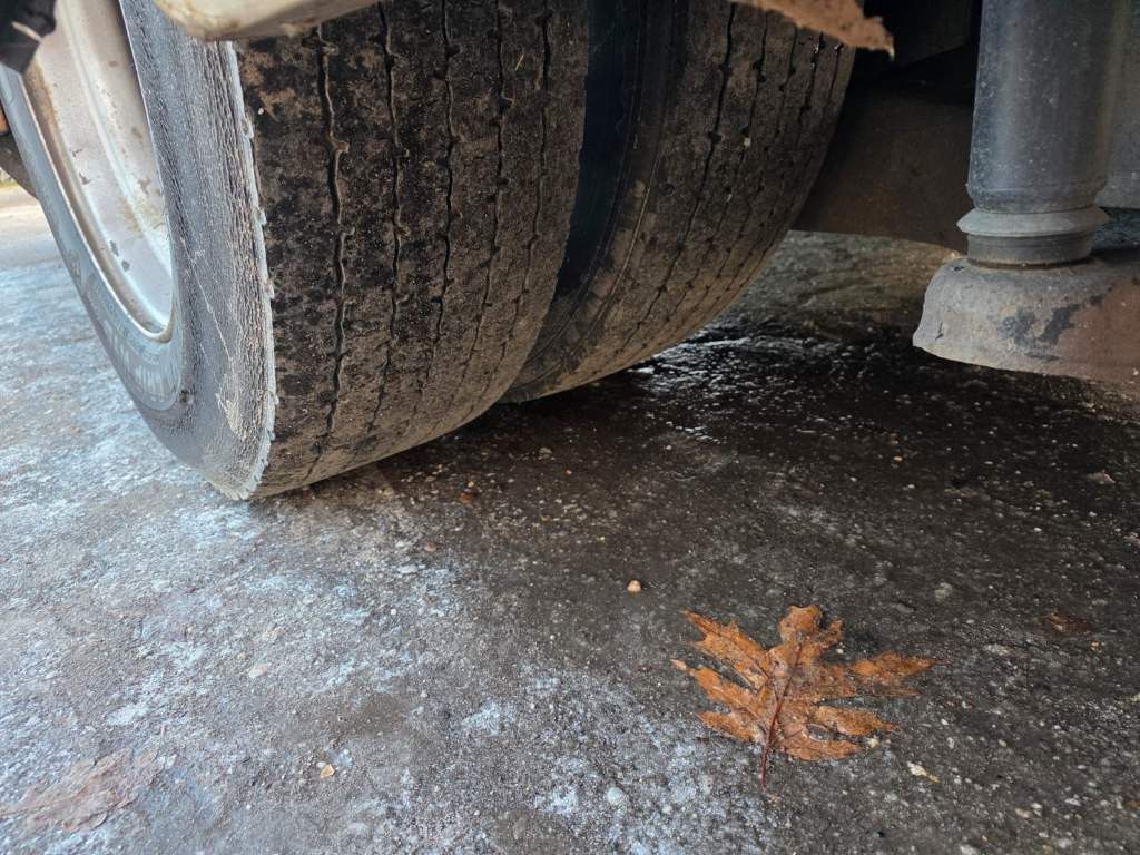 Fahrzeugabbildung Mercedes-Benz Citaro O530 LE, Gurten,  Armlehnen, Gardinen