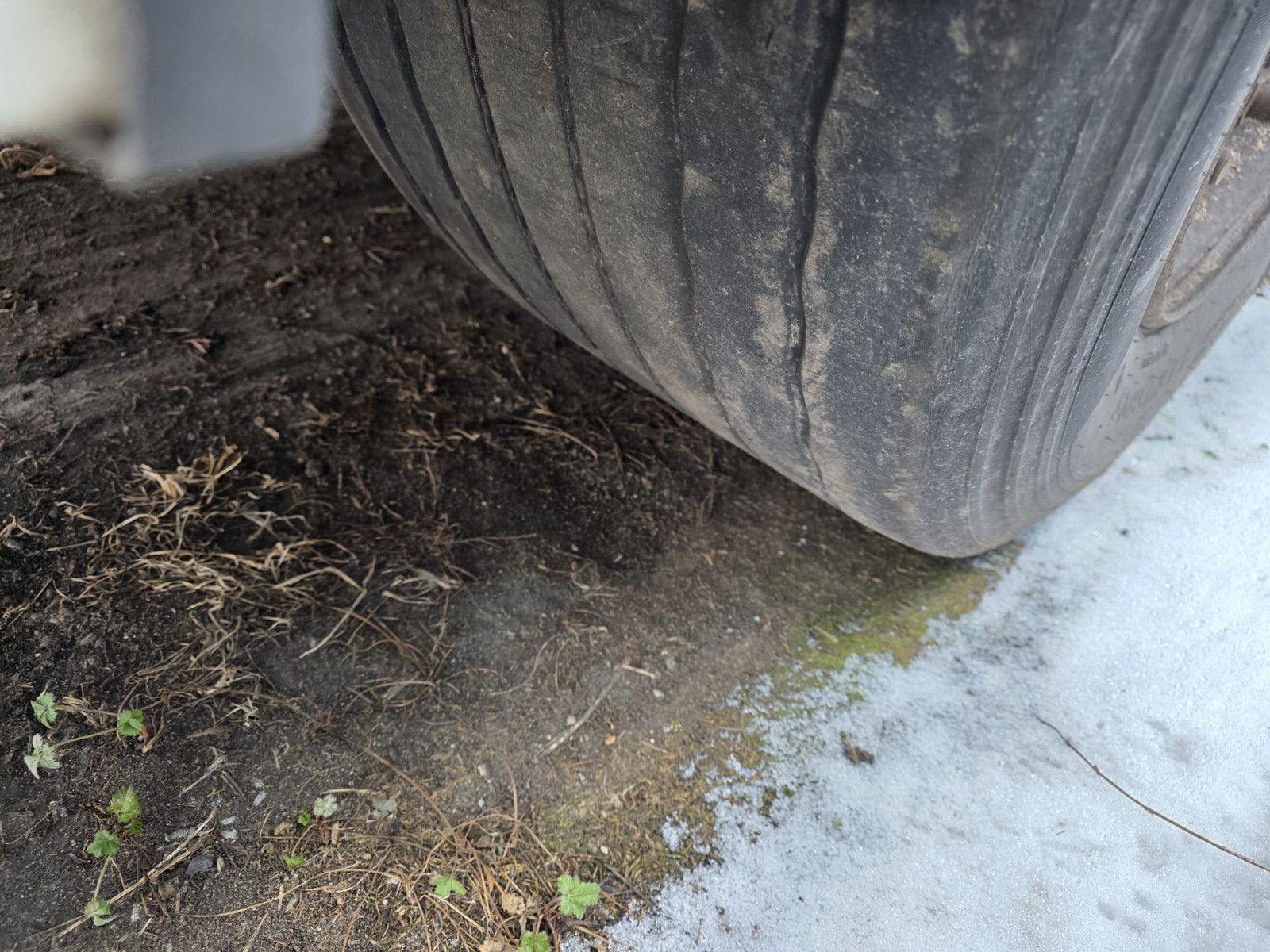 Fahrzeugabbildung Krone Mega Gardine mit Joloda, Lift, BPW, Portal