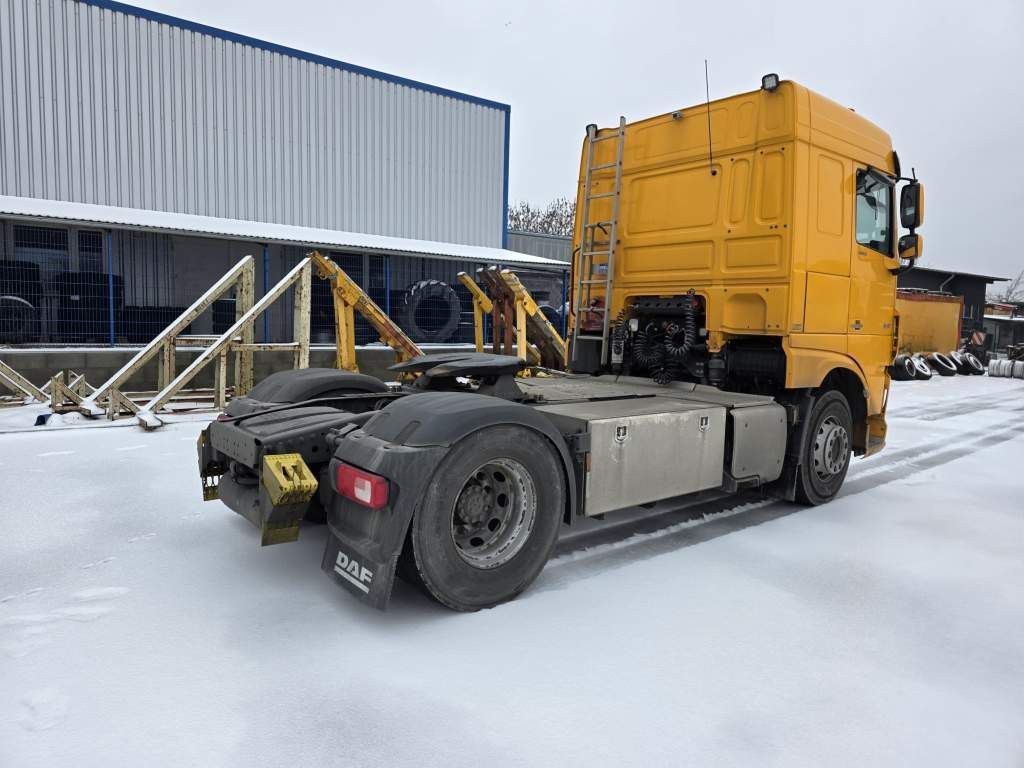 Fahrzeugabbildung DAF XF 480 SC, ZF Intarder, Kühlschrank, ZV