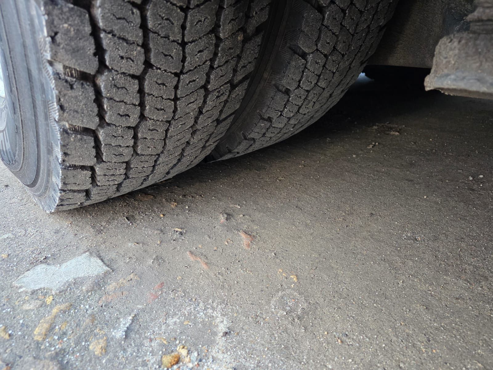 Fahrzeugabbildung Setra S419 UL Reisebus/Überlandbus, 69+2+1,ZF Inatrder