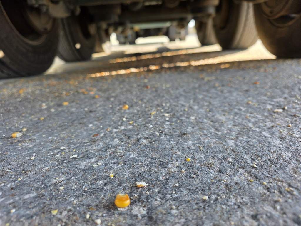 Fahrzeugabbildung Knapen Schubboden 65 cbm, Lift, sauberes Fahrzeug