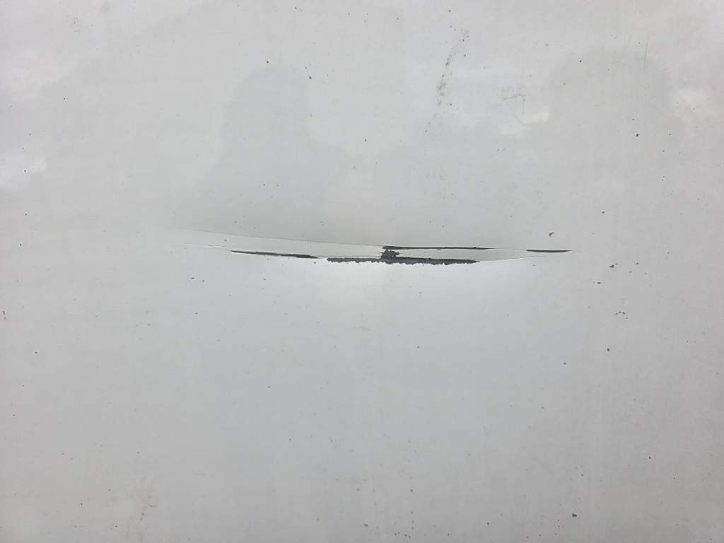 Fahrzeugabbildung DAF XF 450 LL SSC, Standklima, Feuerlöschkästen