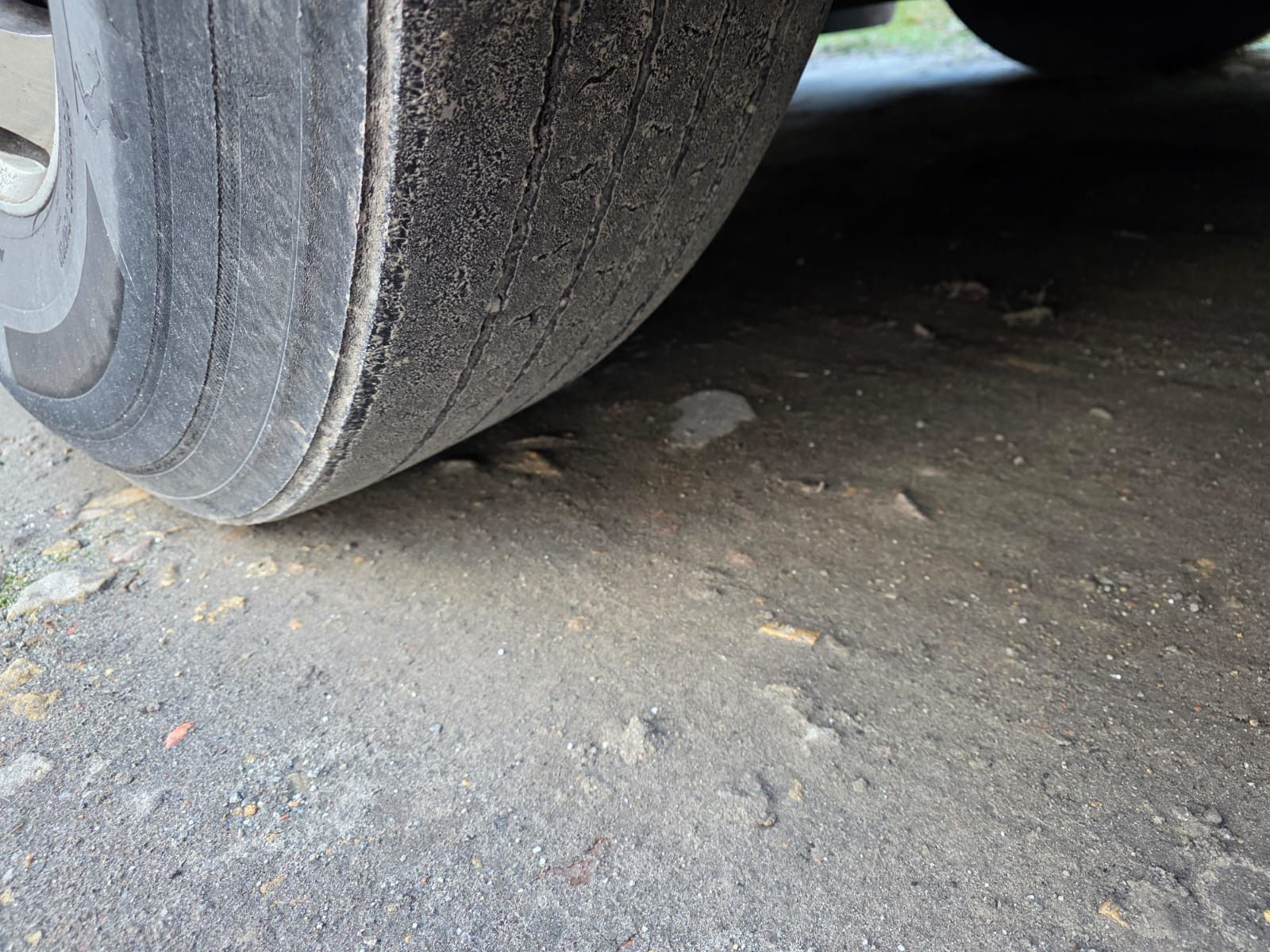 Fahrzeugabbildung Setra S419 UL Reisebus/Überlandbus, 69+2+1,ZF Inatrder