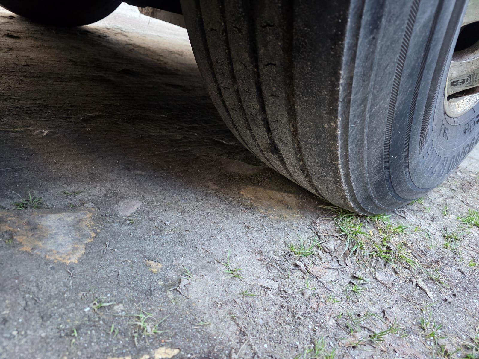 Fahrzeugabbildung Setra S419 UL Reisebus/Überlandbus, 69+2+1,ZF Inatrder