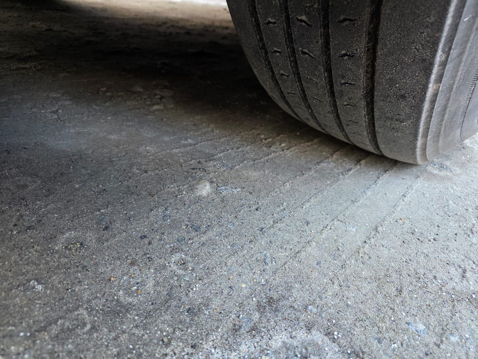 Fahrzeugabbildung Setra S419 UL Reisebus/Überlandbus, 69+2+1,ZF Inatrder