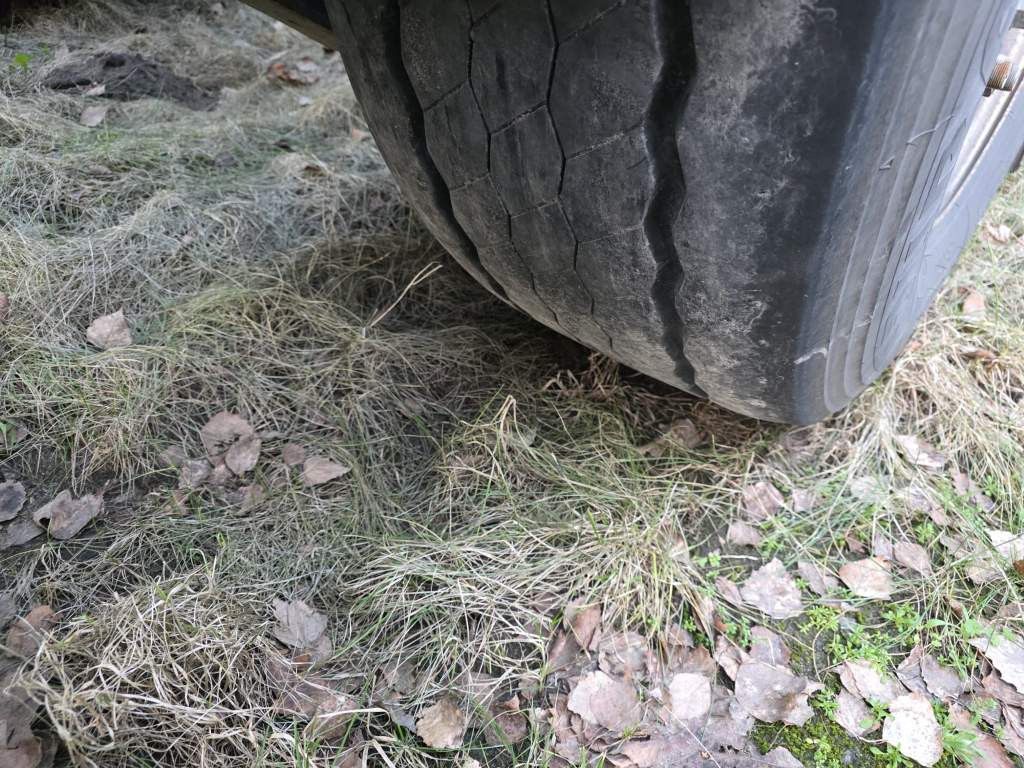 Fahrzeugabbildung Wielton Containerchassis, Heckausschub, wenig benutzt