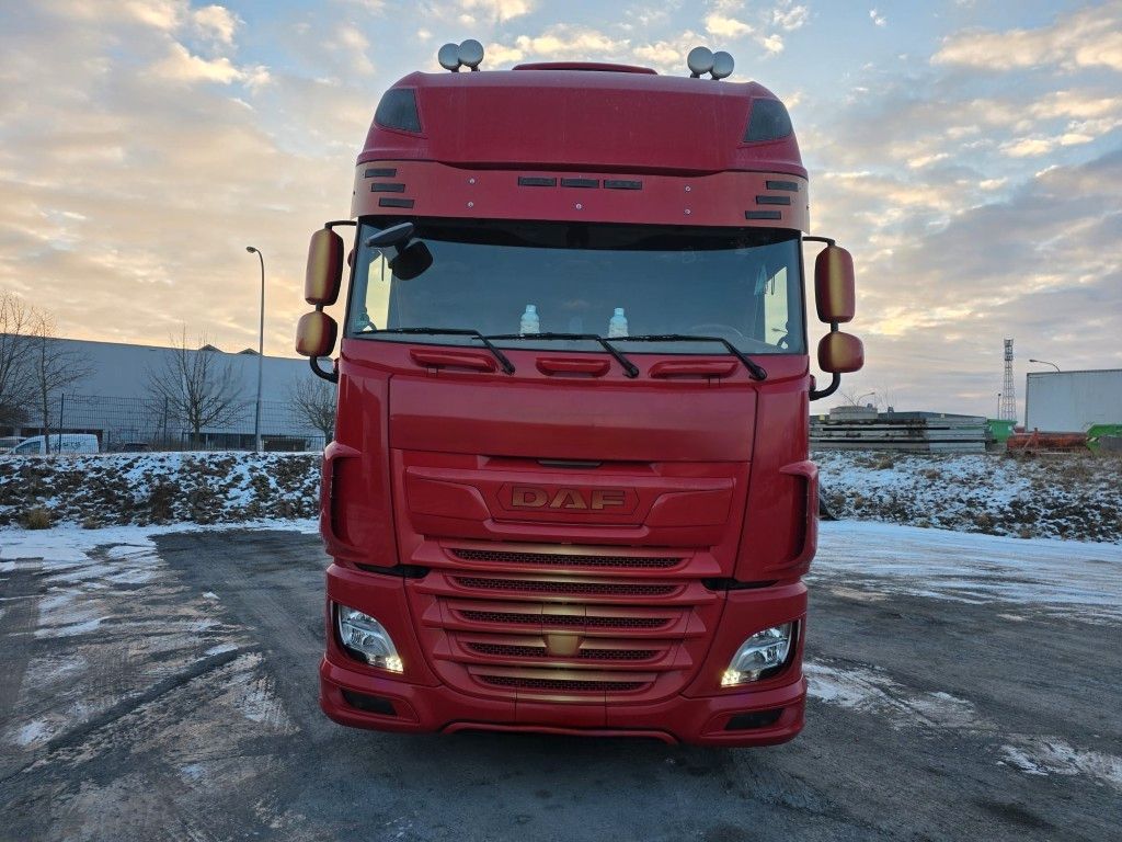 Fahrzeugabbildung DAF XF 530 SSC LL ZF Intarder, Leder, Standklima