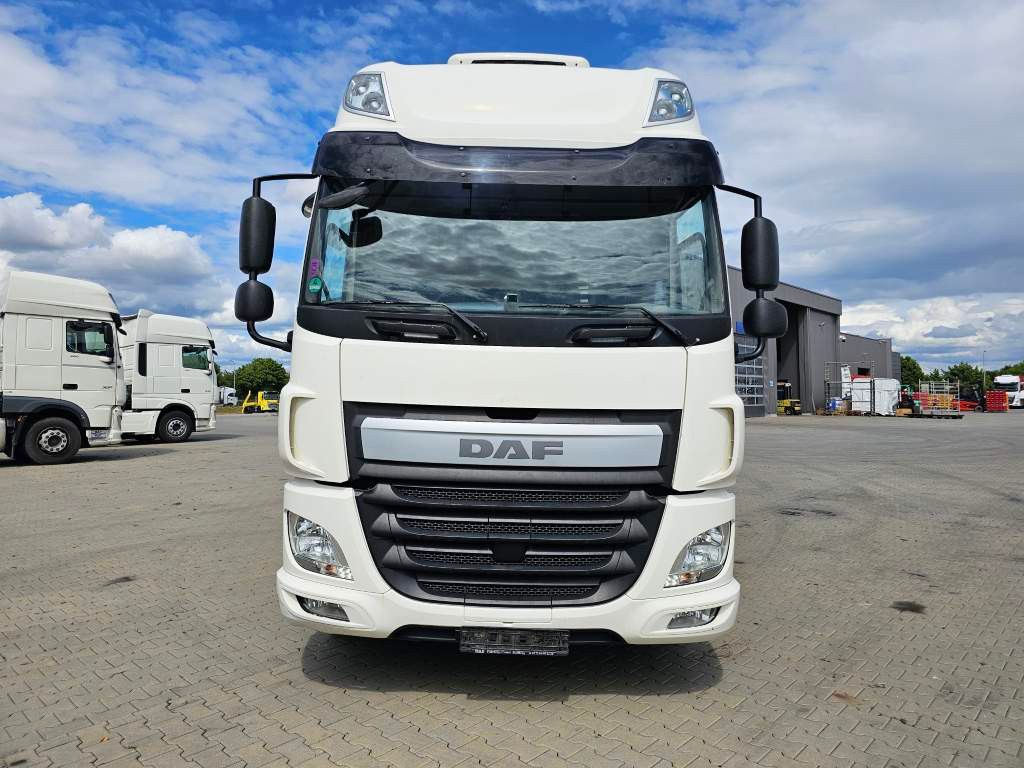 Fahrzeugabbildung DAF DAF CF 310 Space Cab, Gardine, Ladebordwand 1,5