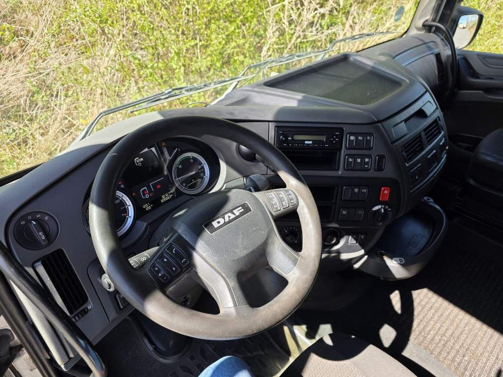 Fahrzeugabbildung DAF XF 460 Standard + Krone Gardine Coiler Standard