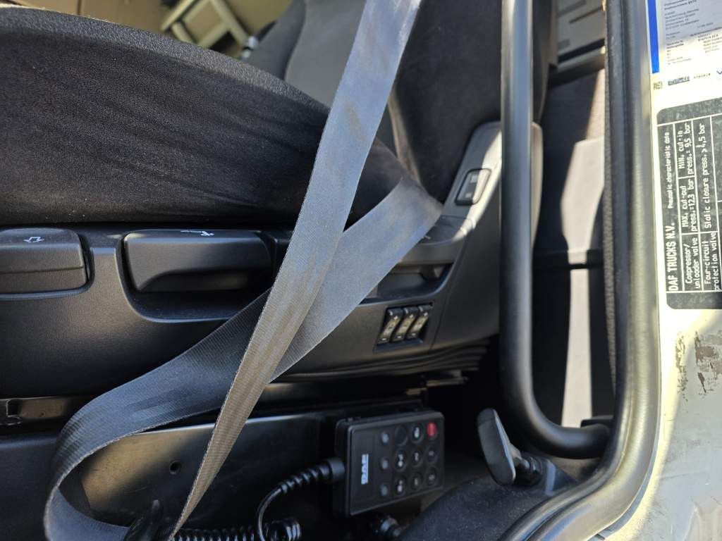 Fahrzeugabbildung DAF XF 460 Standard + Krone Gardine Coiler Standard