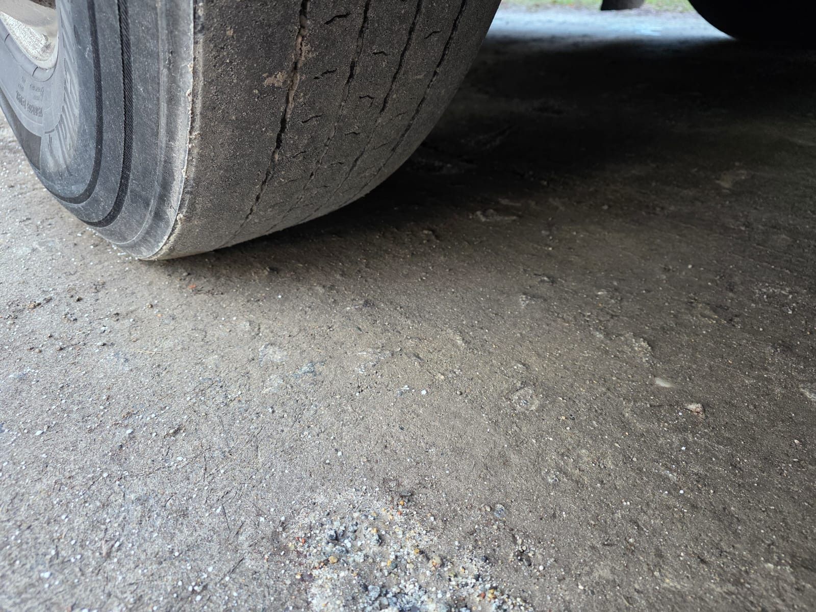 Fahrzeugabbildung Setra S419 UL Reisebus/Überlandbus, 69+2+1,ZF Inatrder