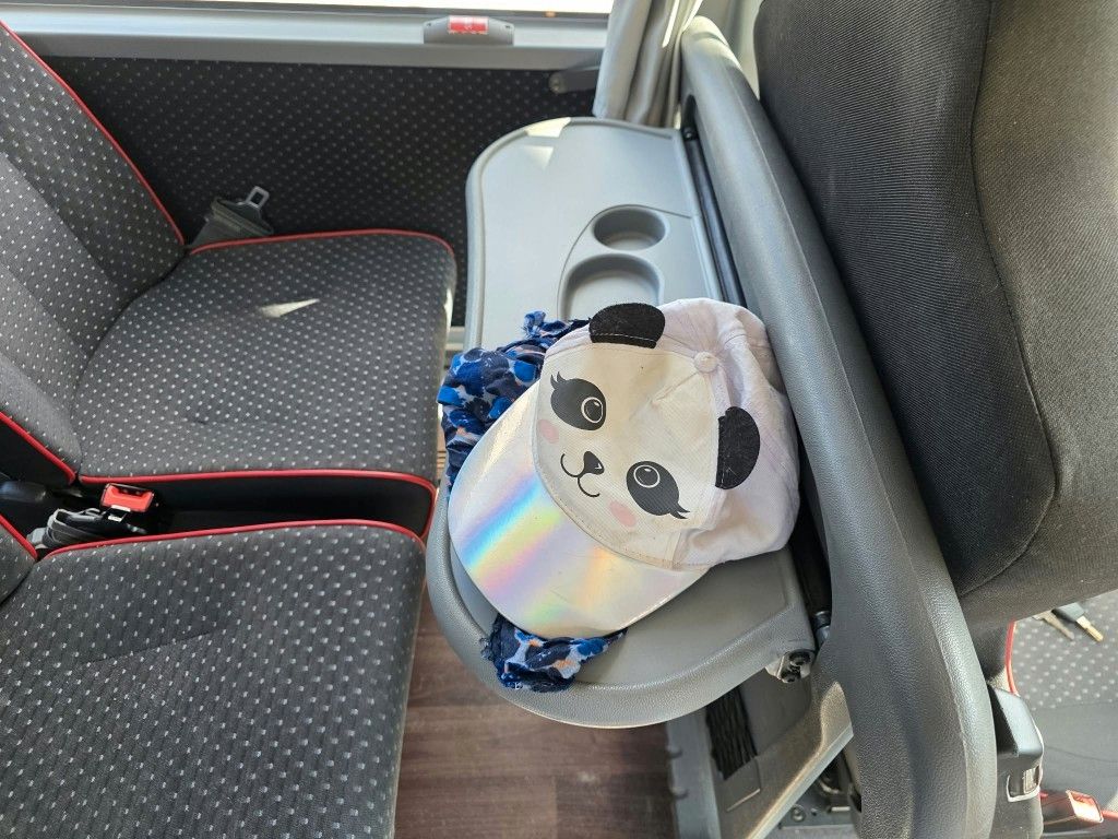 Fahrzeugabbildung Setra S419 UL Reisebus/Überlandbus, 69+2+1,ZF Inarder