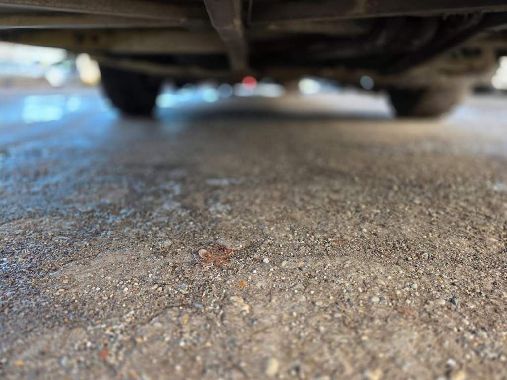 Fahrzeugabbildung Mercedes-Benz Citaro O530 LE, Gurten,  Armlehnen, Gardinen