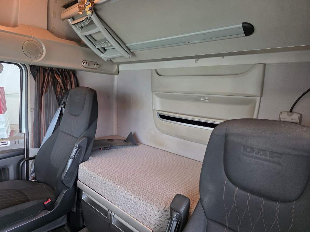 Fahrzeugabbildung DAF XF 480 SSC, Standklima, Intarder, Kühlschrank