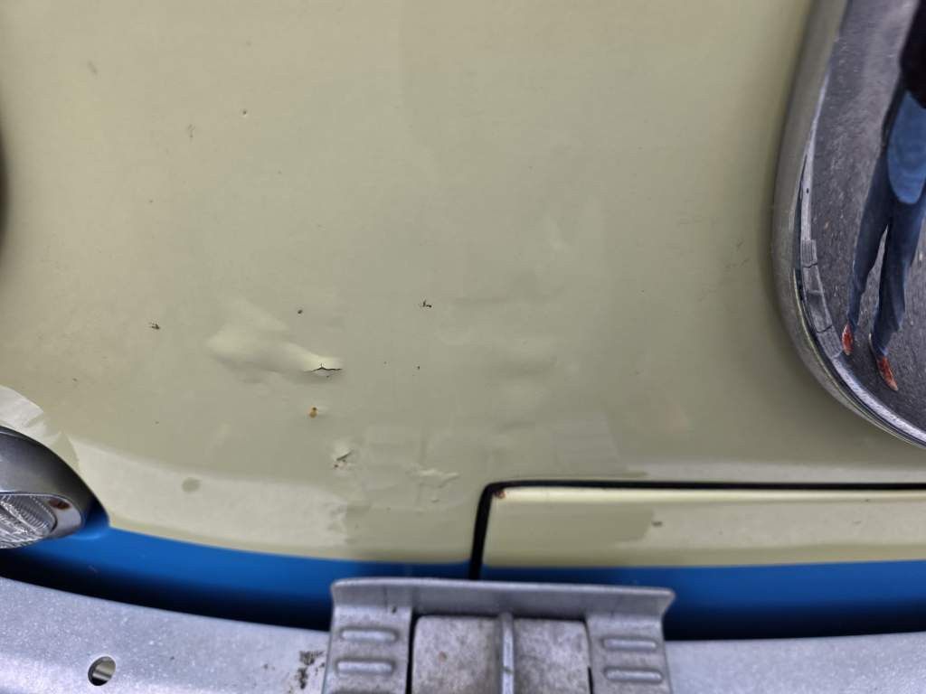 Fahrzeugabbildung Setra S12 Oldtimer